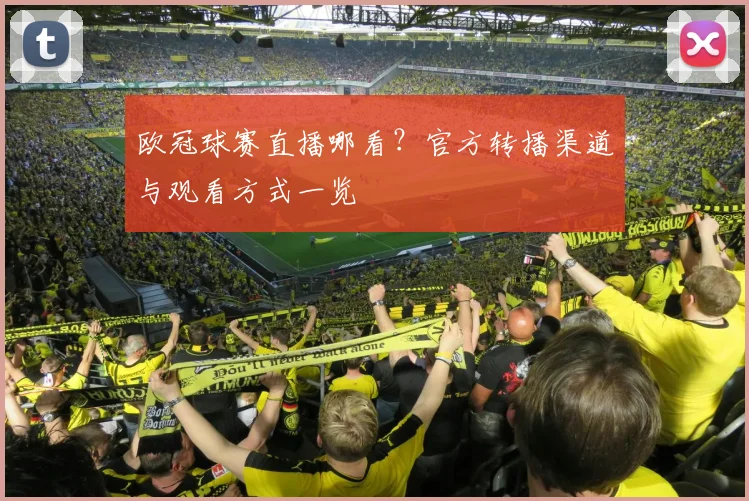 欧冠球赛直播哪看？官方转播渠道与观看方式一览